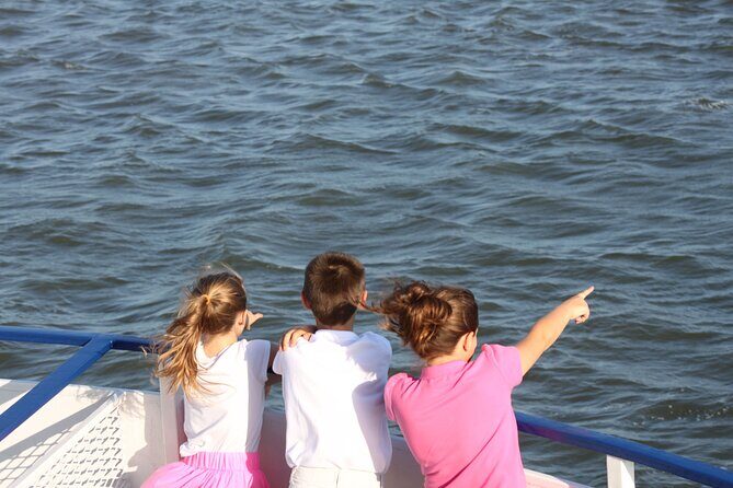 1.5-Hour Charleston Harbor Cruise with Live Narration - Price and What Your $40 Buys on the Water