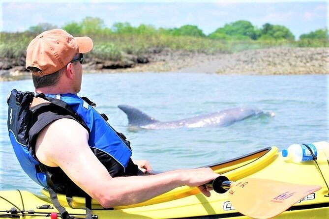 2-Hour Guided Kayak Eco Tour in Charleston - Key Points Before You Go