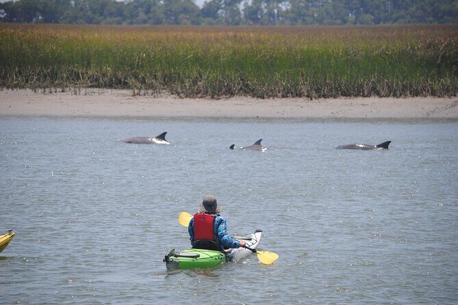 2-Hour Guided Kayak Eco Tour in Charleston - Foot-Steering Kayaks: The Part That Makes Beginners Relax