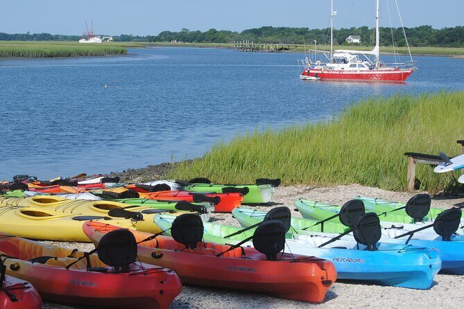 2-Hour Guided Kayak Eco Tour in Charleston - What to Bring: Practical Stuff That Saves Your Day