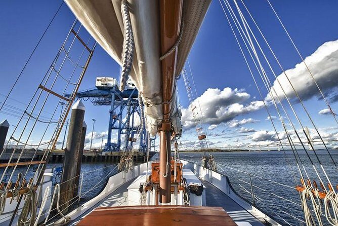 Afternoon Schooner Sightseeing Dolphin Cruise on Charleston Harbor - Arthur Ravenel Jr. Bridge: one of the longest cable-stayed bridges up close