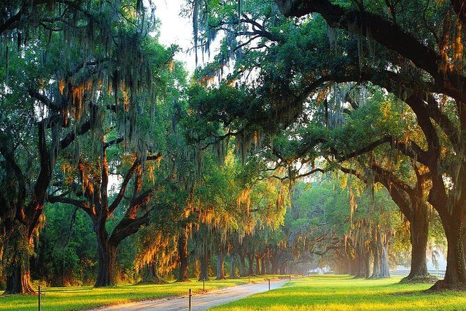 Boone Hall Plantation All-Access Admission Ticket - What You’re Paying For: All-Access Value at Boone Hall