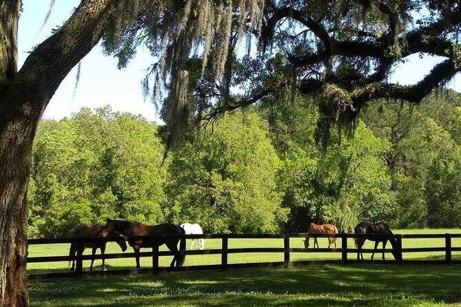 Boone Hall Plantation All-Access Admission Ticket - Black History in America Exhibit: Where the Story Changes When You’re in the Cabins