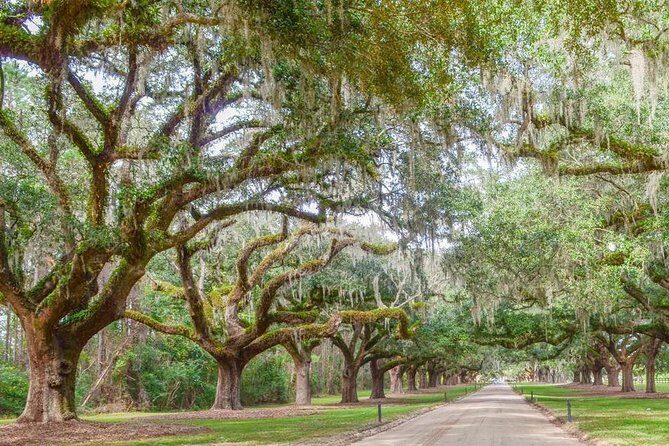 Boone Hall Plantation All-Access Admission Ticket - Gin House Museum and Stable Tour: Extra Stops That Add Depth (and Time)