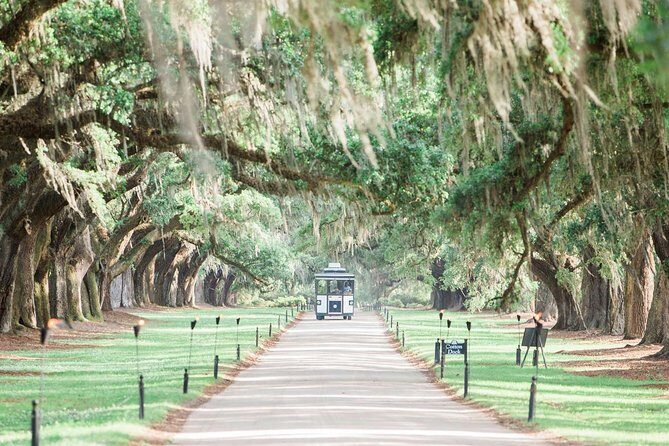 Boone Hall Plantation All-Access Admission Ticket - Arrival and First Impressions: Avenue of Oaks and the Working Farm Feel