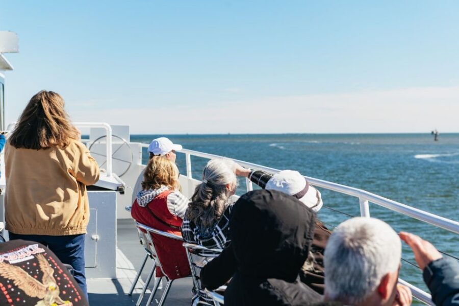 Charleston: Daytime or Sunset Historic Harbor Cruise - Why the narration and captain style are the real differentiator