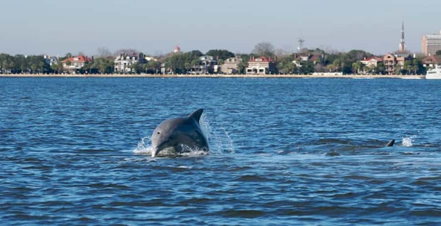 Charleston: Daytime or Sunset Historic Harbor Cruise - The route in plain language: Charleston Harbor to the landmarks that define it