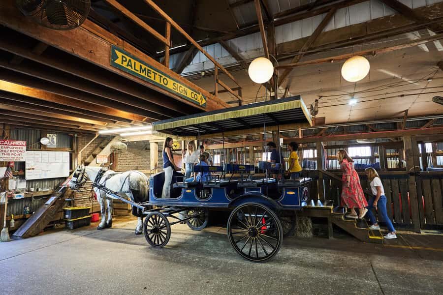 Charleston: Downtown Horse-Drawn Carriage Tour - Key Highlights You Should Know