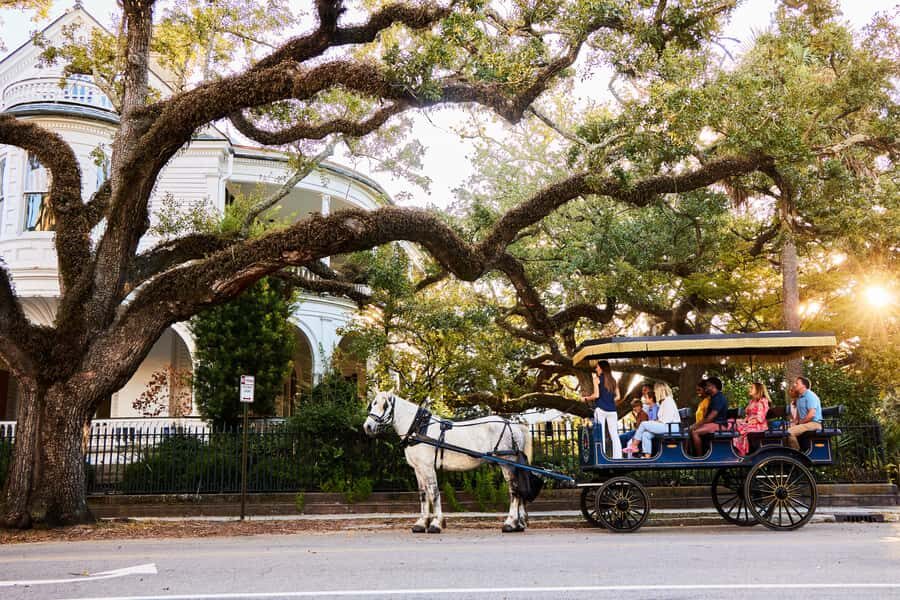 Charleston: Downtown Horse-Drawn Carriage Tour - Downtown Charleston by Carriage: What Makes It Work