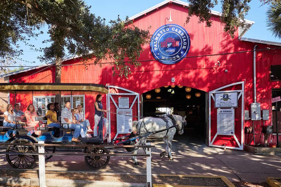 Charleston: Downtown Horse-Drawn Carriage Tour - Who This Tour Suits Best (and Who Might Want Something Else)