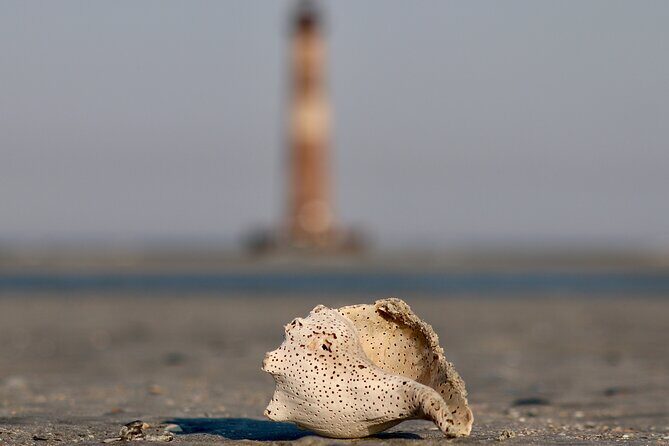 Charleston Eco Boat Cruise with stop at Morris Island Lighthouse - Morris Island Lighthouse stop: photos and beach time in two chunks