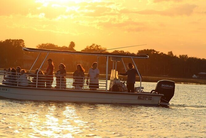 Charleston Eco Boat Cruise with stop at Morris Island Lighthouse - Wildlife and beach treasures: what the experience is really about