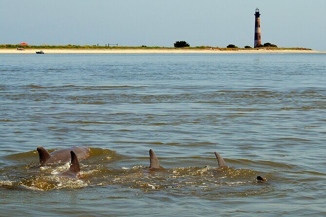 Charleston Eco Boat Cruise with stop at Morris Island Lighthouse - Boat details that affect comfort