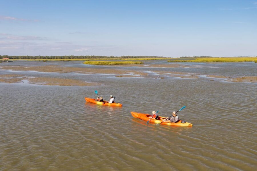 Charleston: Folly Beach Afternoon Kayak Dolphin Safari - What to bring: water shoes, swimwear, and a little planning
