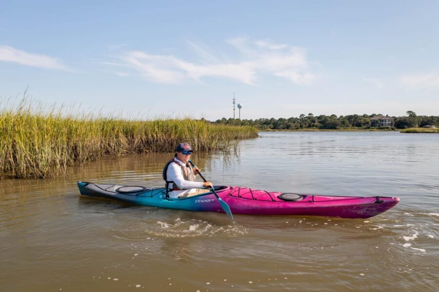 Charleston: Folly Beach Kayak Dolphin Safari - Wildlife Spotting Beyond Dolphins: Shorebirds and Native Plants