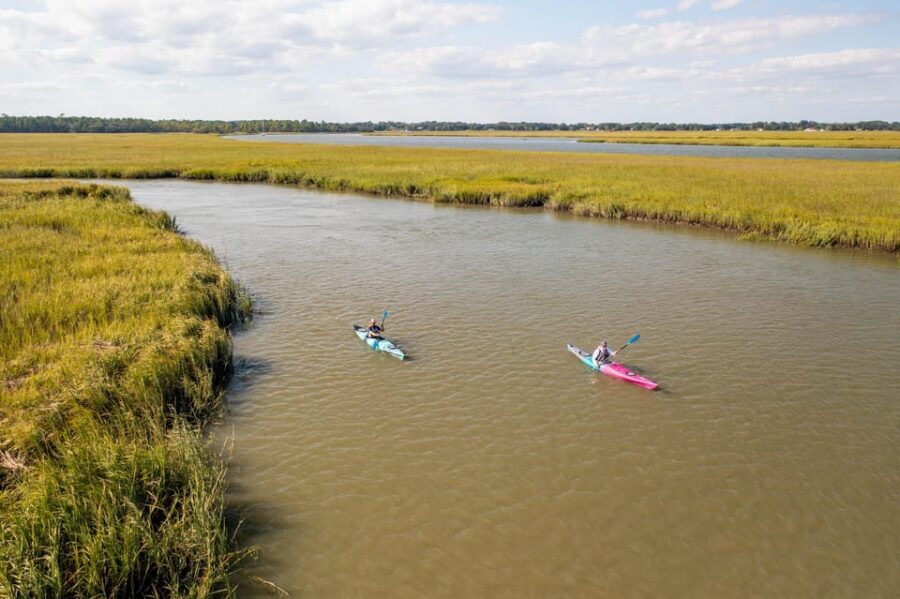 Charleston: Folly Beach Kayak Dolphin Safari - Price and Value: Is $50 a Good Deal?