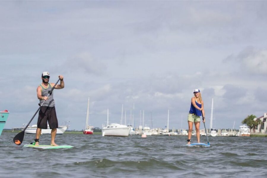 Charleston: Folly Beach Stand Up Paddleboard 2-hour Rental - Wildlife Without the Pressure: How to Think About Dolphins