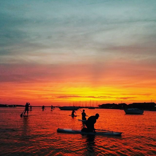 Charleston: Folly Beach Stand Up Paddleboard Dolphin Safari - The 2-hour flow: learning SUP while scanning for dolphins