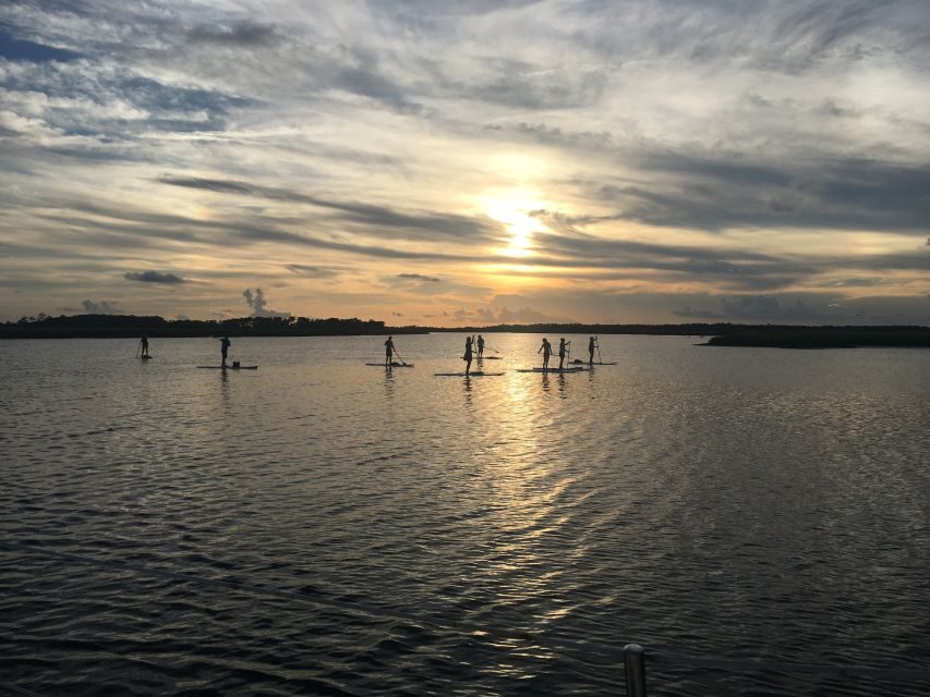 Charleston: Folly Beach Stand Up Paddleboard Dolphin Safari - Who this tour fits best, and who should skip