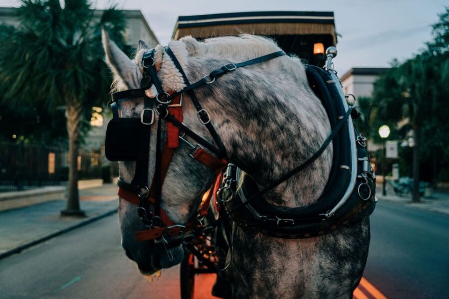 Charleston: Haunted Carriage Evening Tour - The spooky centerpiece: Old Exchange and Provost Dungeon