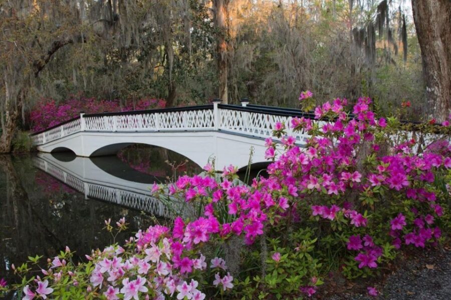 Charleston: Historic City Tour & Magnolia Plantation Combo - The historic city loop: The Battery, Rainbow Row, Old Market, and law corners
