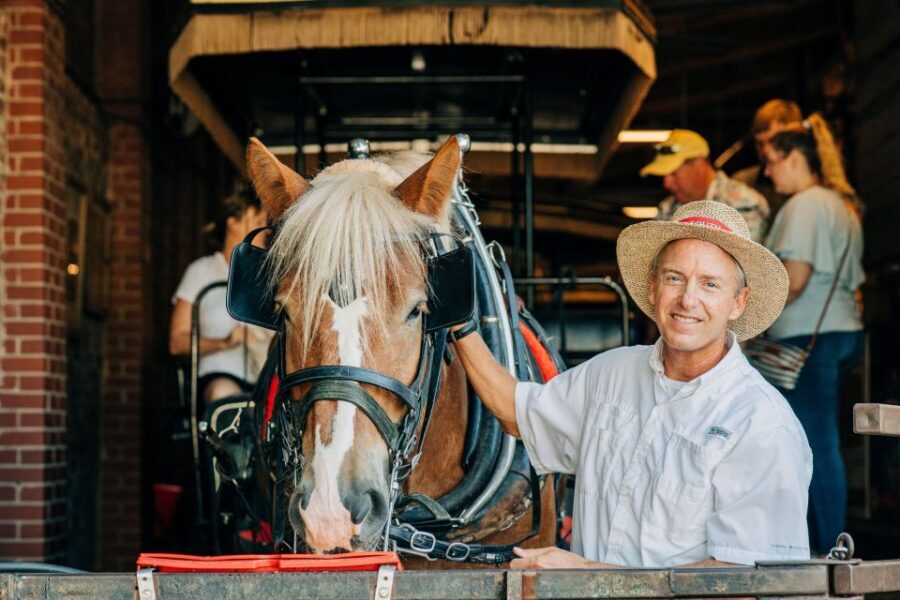 Charleston: Historical Downtown Tour by Horse-drawn Carriage - When Weather Changes Plans: How the Tour Handles It