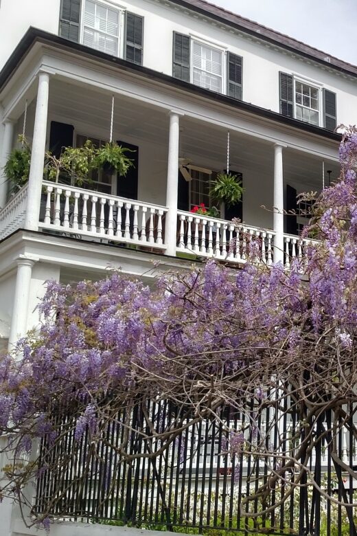Charleston: Historical Walking Tour with Storytelling - Meeting at the Old Exchange and Provost Dungeon