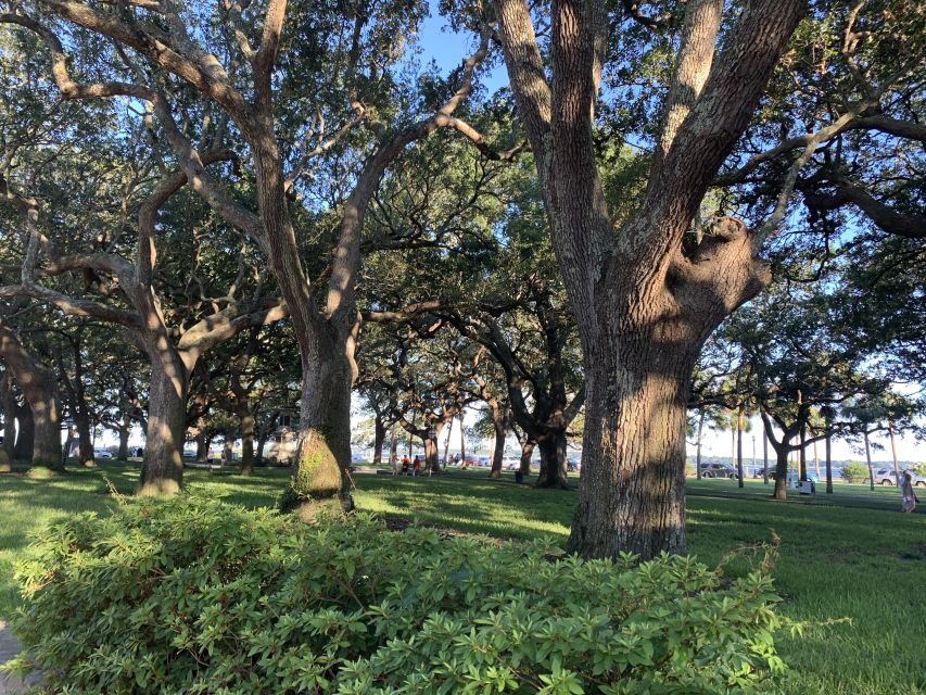 Charleston: Historical Walking Tour with Storytelling - Halsey Institute of Contemporary Art: A Smart Contrast