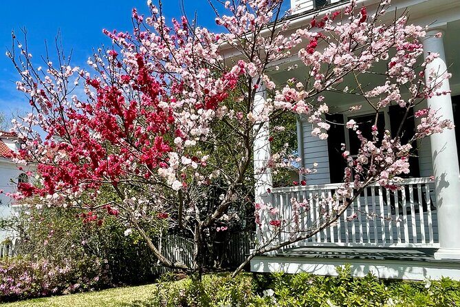 Charleston History Tour / - Gullah culture: the human thread under the architecture