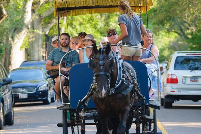 Charleston Horse & Carriage Historic Sightseeing Tour - Horse and carriage orientation: seeing Charleston in a calm hour