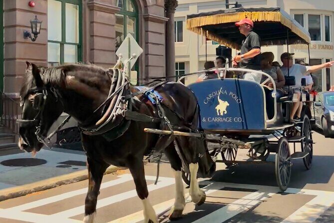 Charleston Horse & Carriage Historic Sightseeing Tour - St. Philip’s Church stop and the stories behind the Holy City