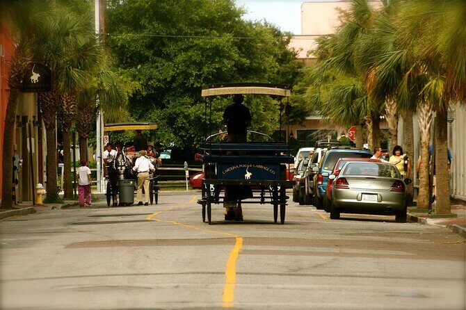 Charleston Horse & Carriage Historic Sightseeing Tour - When to go and who should book (and who might want another plan)