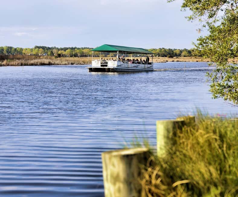 Charleston: Magnolia Plantation & Gardens Guided Tour - Ashley River Choice: Nature Train or Wildlife Boat