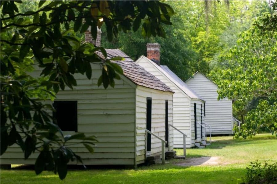 Charleston: Magnolia Plantation & Gardens Guided Tour - What You Get for $75: Price, Value, and Where the Money Goes