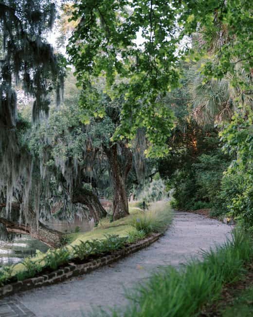 Charleston: Magnolia Plantation & Gardens Guided Tour - Magnolia Plantation House: Where the Guide Makes It Personal