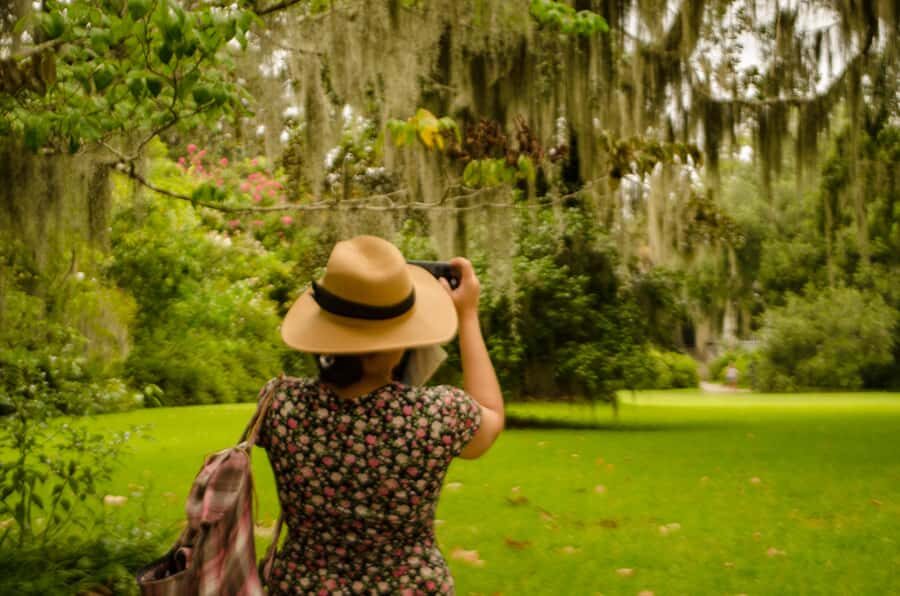 Charleston: Magnolia Plantation with Transport and City Tour - Audubon swamp tram: spotting alligators, herons, and more without the long hike