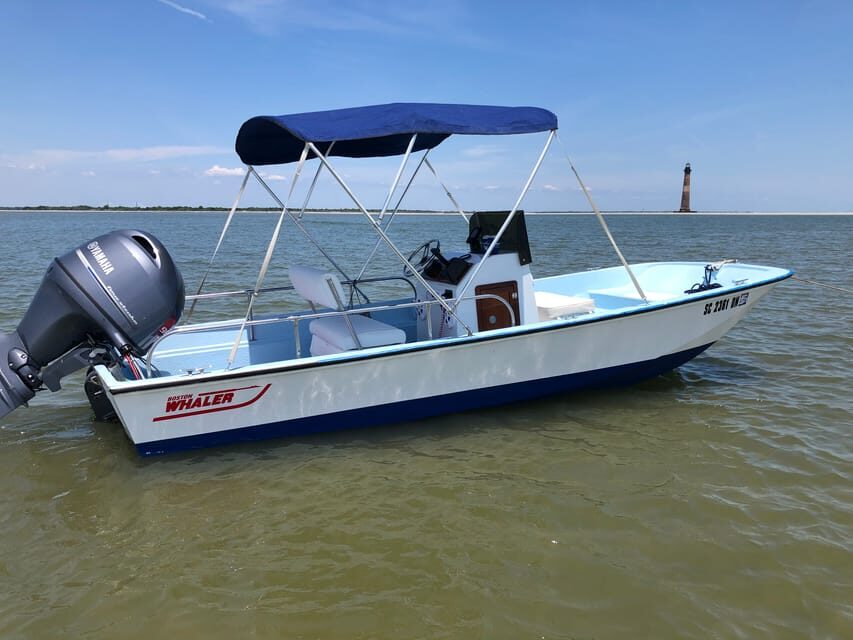Charleston: Morris Island Dolphin Cruise with Beachcombing - Key highlights you’ll feel right away