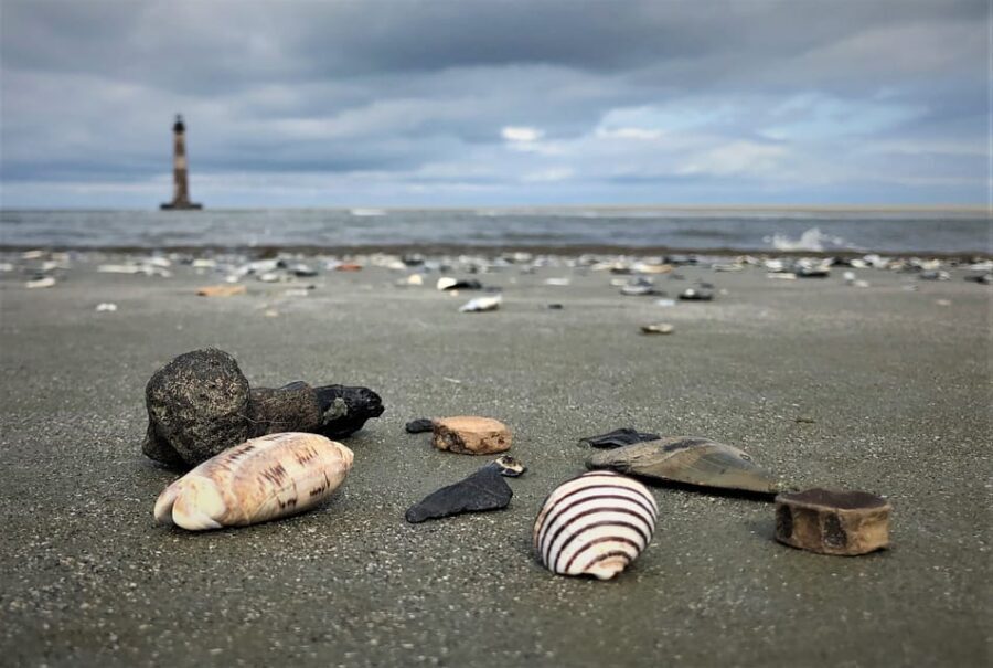 Charleston: Morris Island Dolphin Cruise with Beachcombing - Dolphin watching: how to make the sightings more likely (and more fun)