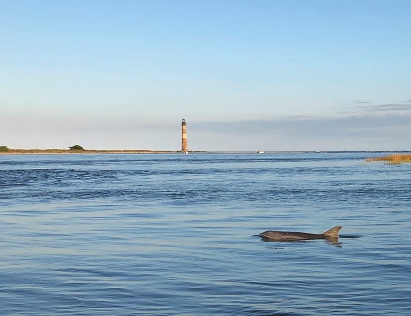 Charleston: Morris Island Dolphin Cruise with Beachcombing - The lighthouse moment: why that view is worth slowing down for
