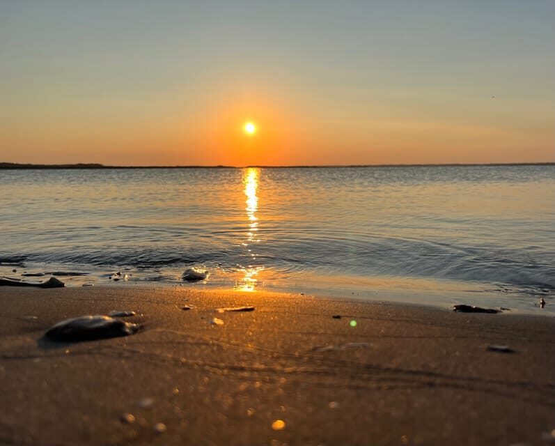 Charleston: Morris Island Dolphin Cruise with Beachcombing - Private boat perks: the BYOB option and how it changes the vibe