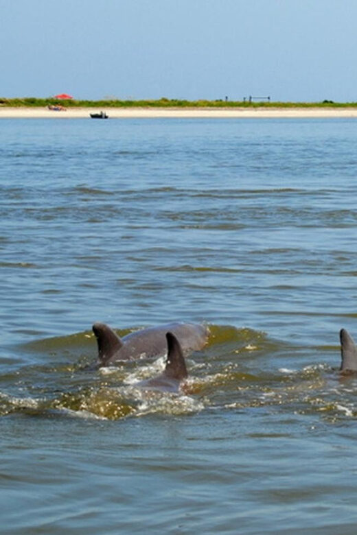 Charleston: Morris Island Lighthouse Eco-Boat Tour - Key highlights that make this tour worth your time