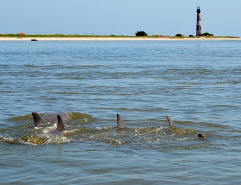 Charleston: Morris Island Lighthouse Eco-Boat Tour - Getting there: the meeting point at the end of Bowens Island Road