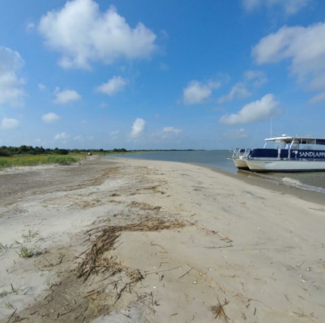 Charleston: Morris Island Nature Boat Tour with Naturalist - Weather and the one thing you can’t outsmart