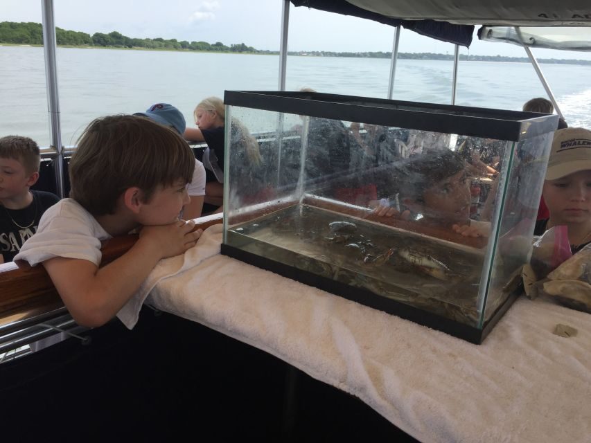 Charleston: Morris Island Nature Boat Tour with Naturalist - Duration and pacing: what 2 hours feels like in real life