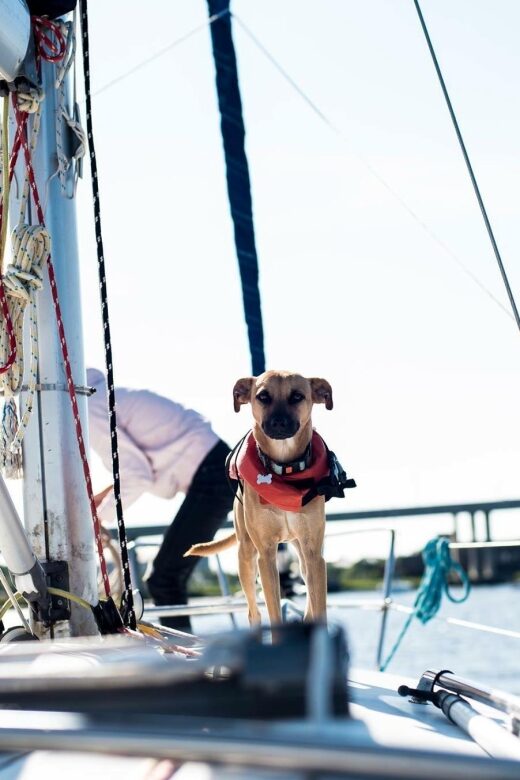 Charleston: Private BYOB Luxury Yacht Cruise - Key things to know before you go