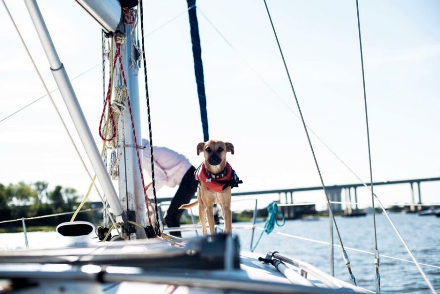 Charleston: Private BYOB Luxury Yacht Cruise - Daytime vs sunset: choosing the right light for your priorities