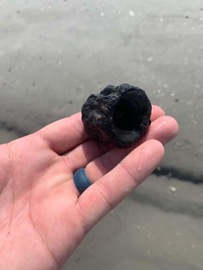Charleston: Private Shark-tooth hunt and Lighthouse Viewing - Morris Island and the lighthouse: the 2-hour guided moment