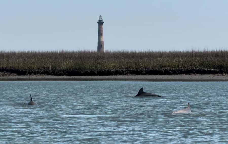 Charleston: Private Shark-tooth hunt and Lighthouse Viewing - Where the adventure starts: 97 Center St and the Blue Moon boat