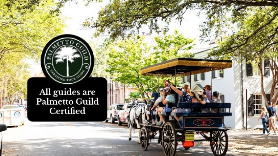Charleston, SC: Private Daytime Horse-Drawn Carriage Ride - Key points at a glance
