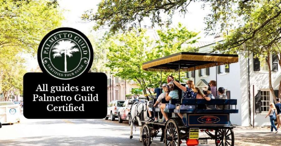 Charleston, SC: Private Daytime Horse-Drawn Carriage Ride - What to expect in 60 minutes: a leisurely downtown loop